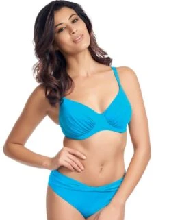 5955 Fantasie Cairns Classic Bikini Brief - 5955 Classic Brief