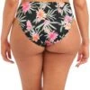 800172 Elomi Dark Tropics Bikini Briefs - 800172 Black