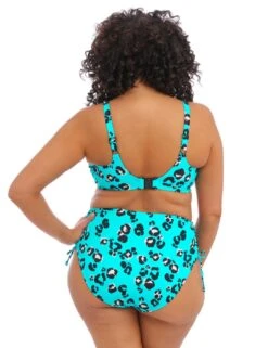 800973 Elomi Kotiya Adjustable Bikini Briefs - 800973 Lagoon 9 800973 Elomi Kotiya Adjustable Bikini Briefs - 800973 Lagoon -Deals Full Cup Bikini Store 371164 20230314125000