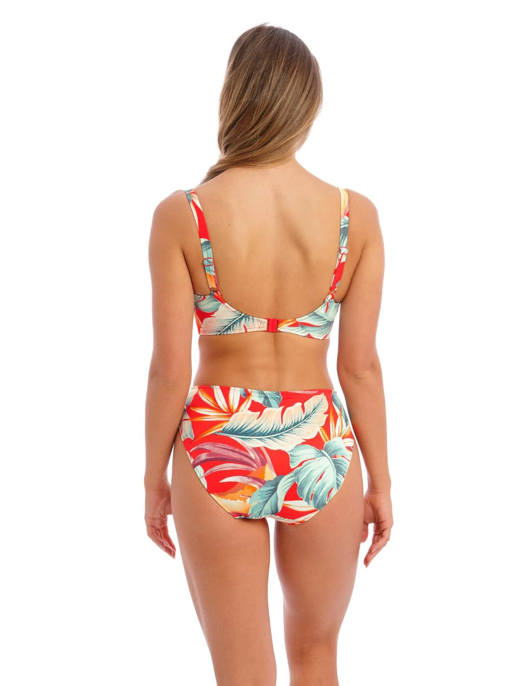501672 Fantasie Bamboo Grove Bikini Brief - 501672 Hot Chilli 5 501672 Fantasie Bamboo Grove Bikini Brief - 501672 Hot Chilli - Image 5