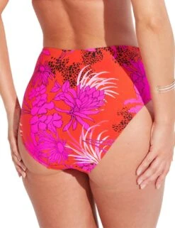 20705 Pour Moi In The Mix Tummy Control Bikini Brief - 20705 Animal Mix